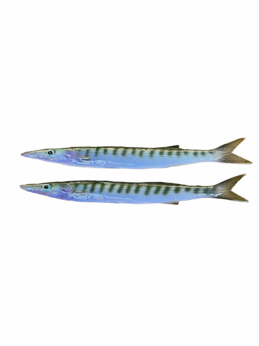 Barracuda - Barracuda