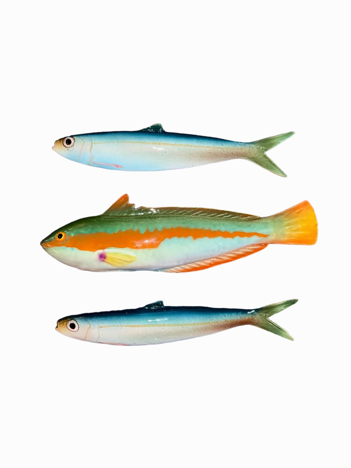 Alaccia - Golden Sardine