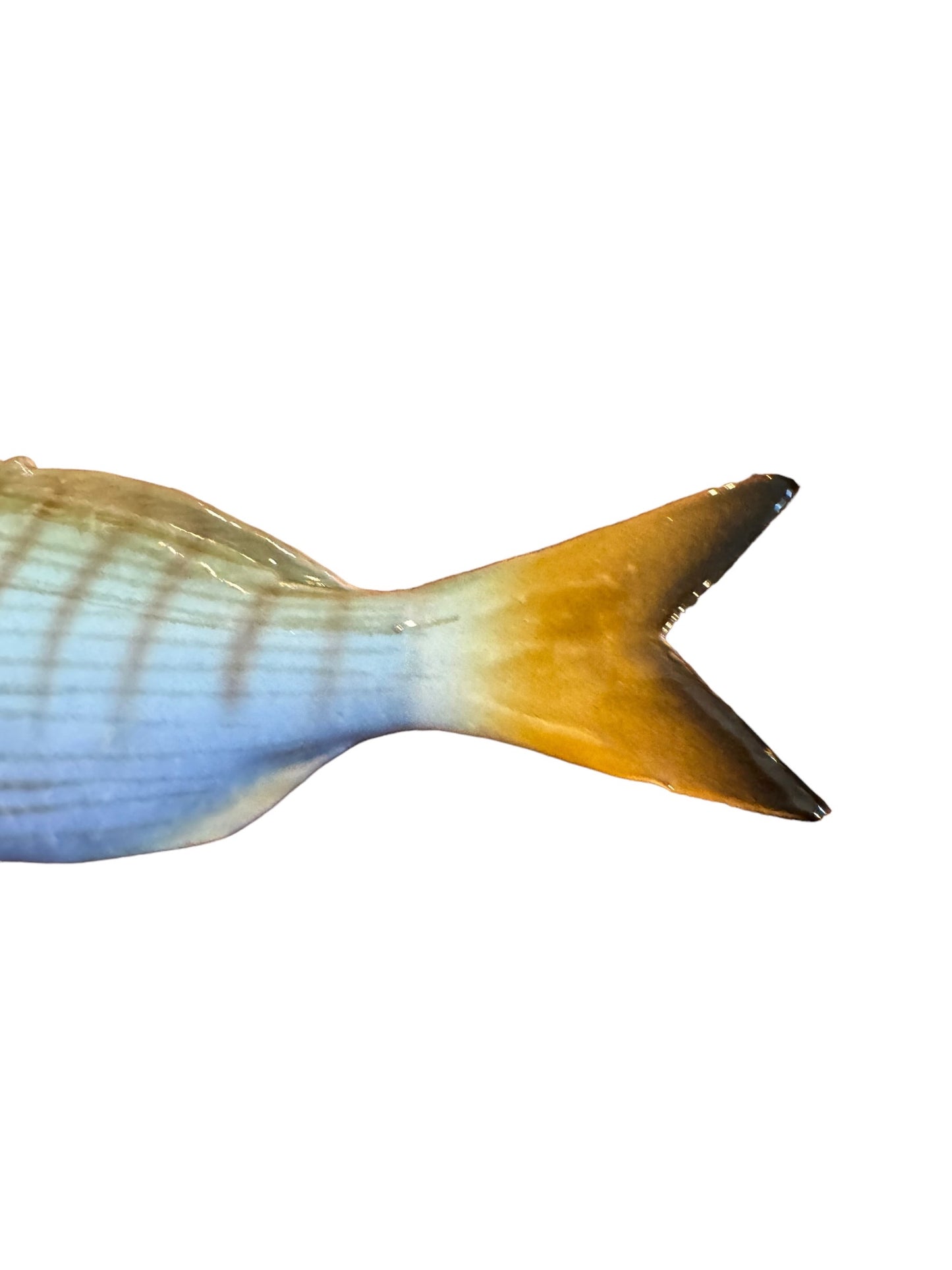 Marmora - Striped Sea Bream