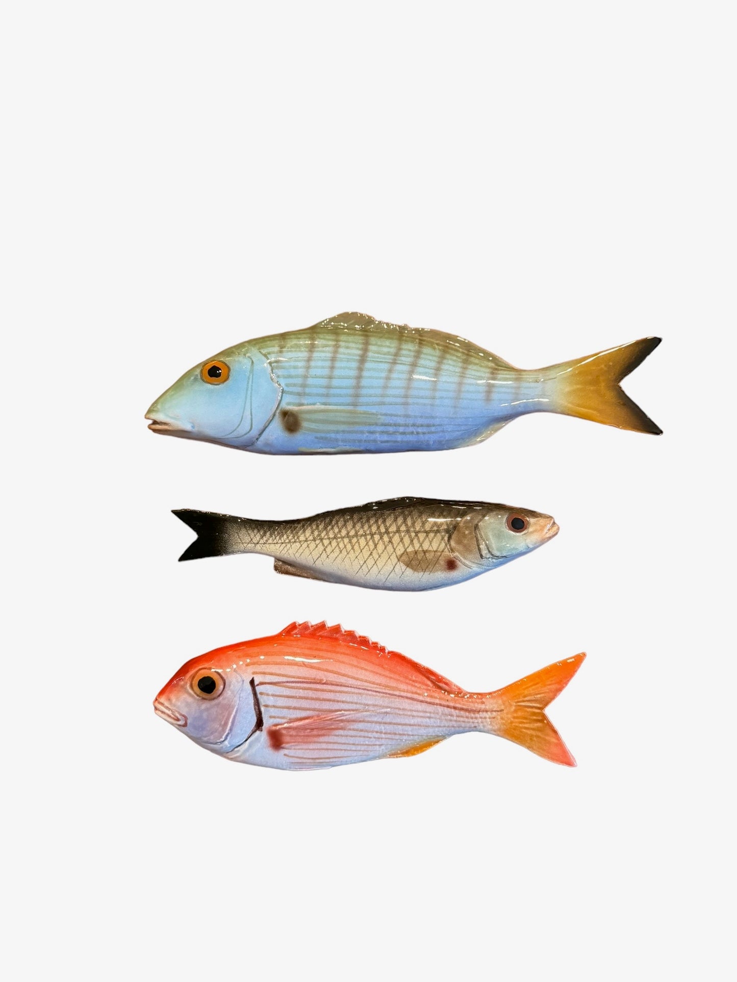 Marmora - Striped Sea Bream