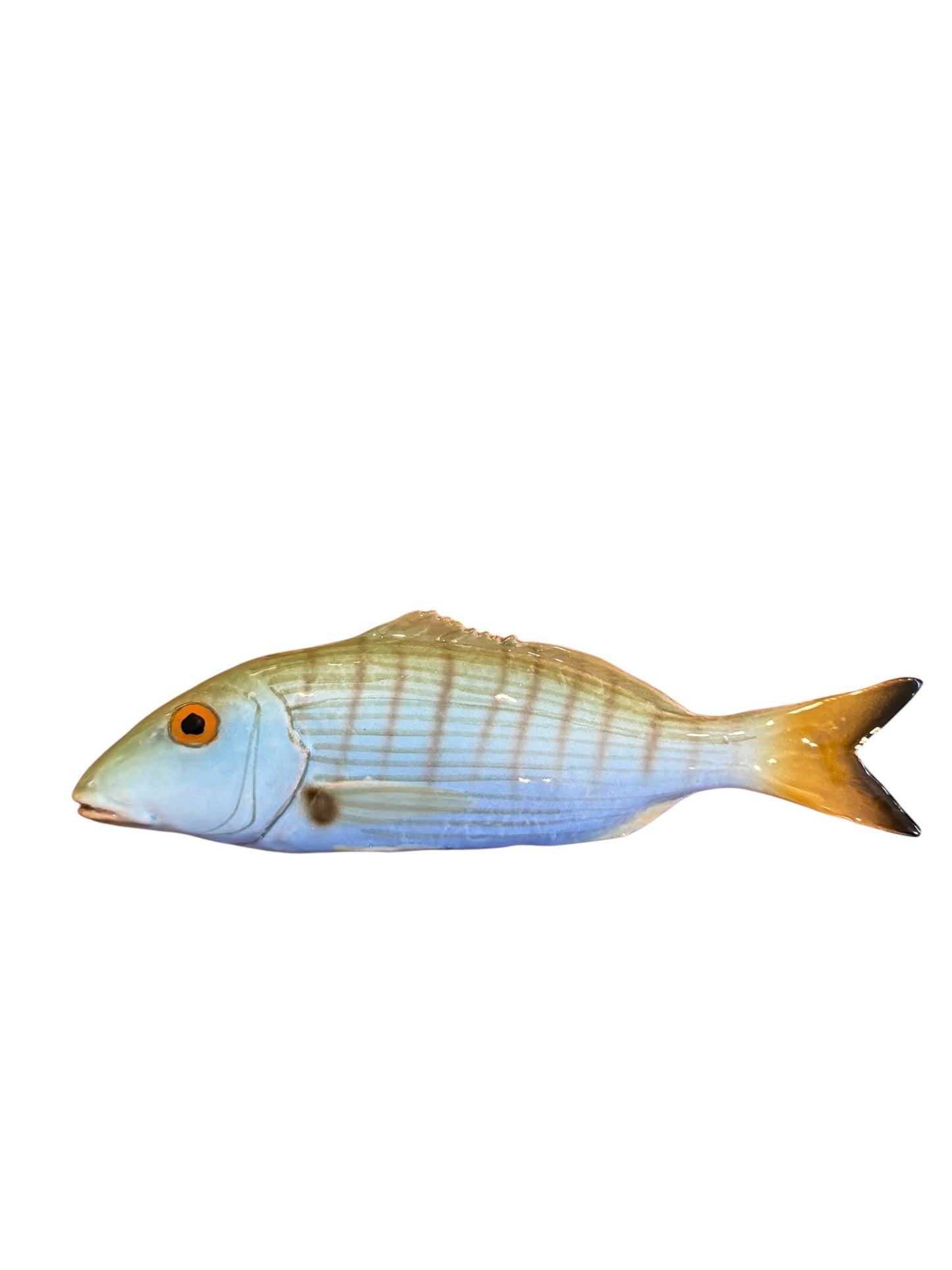 Marmora - Striped Sea Bream