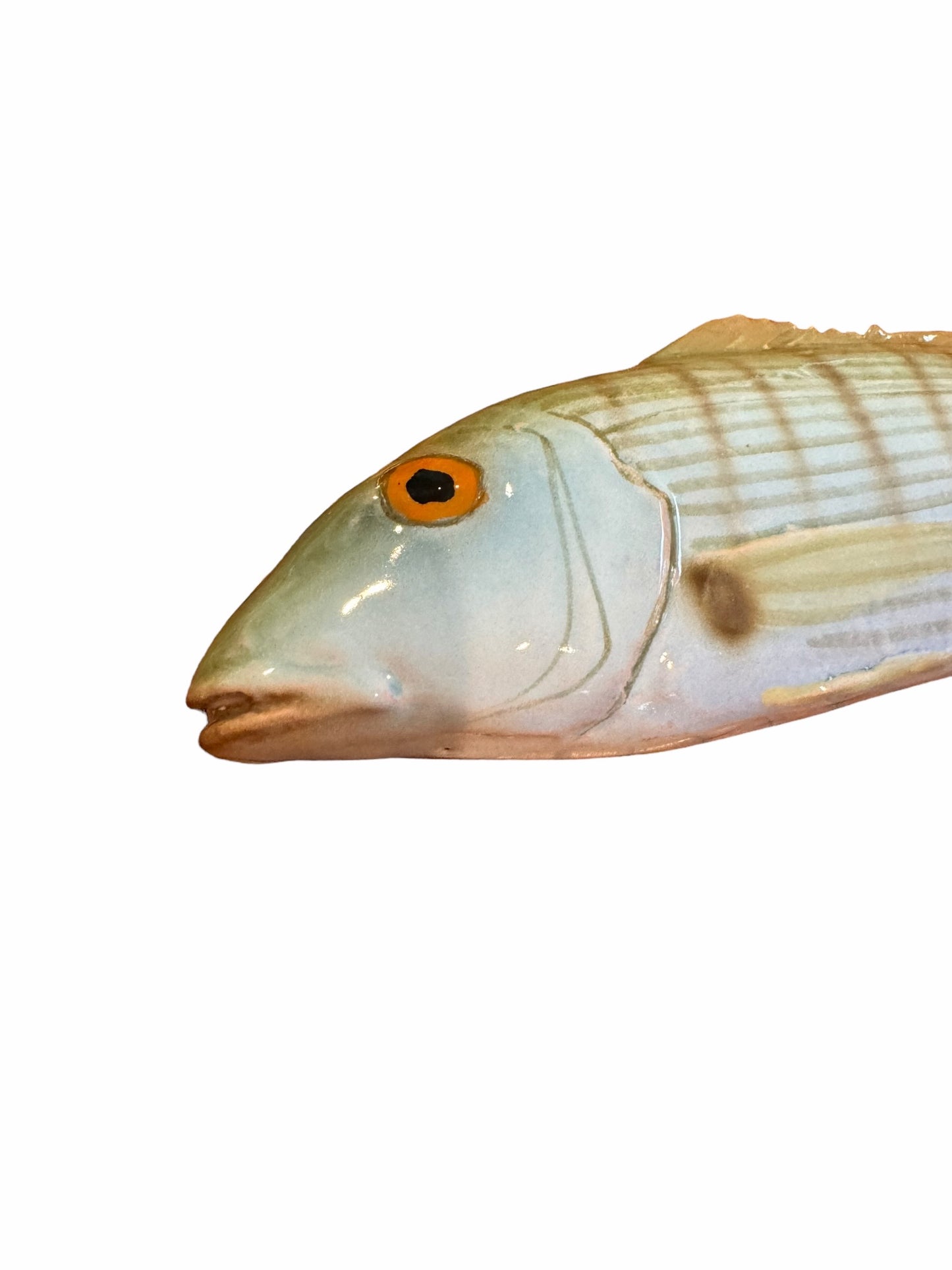Marmora - Striped Sea Bream