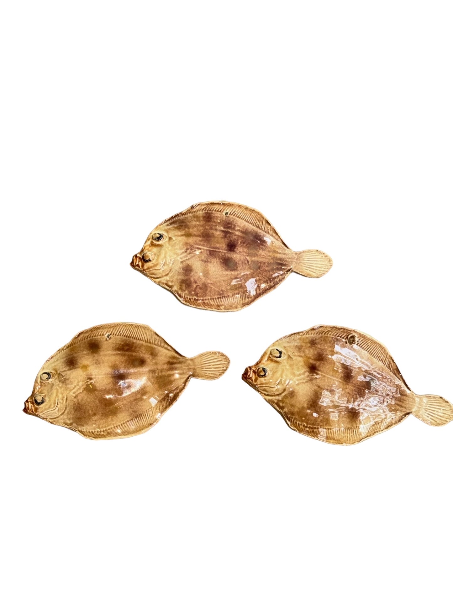 Pettine - Sole