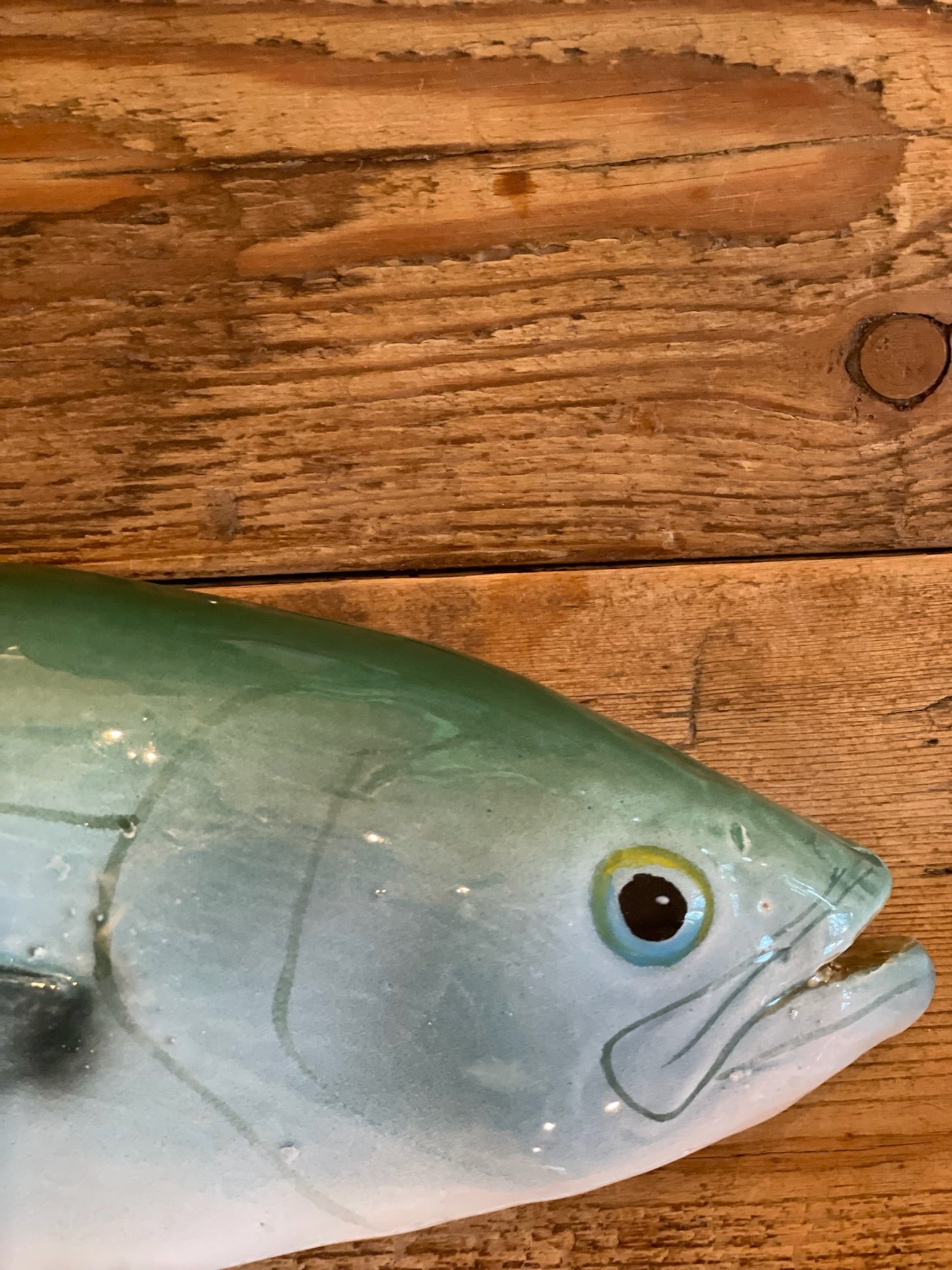 Serra - Bluefish