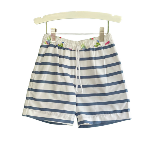Swim Trunk - Navy Stripe