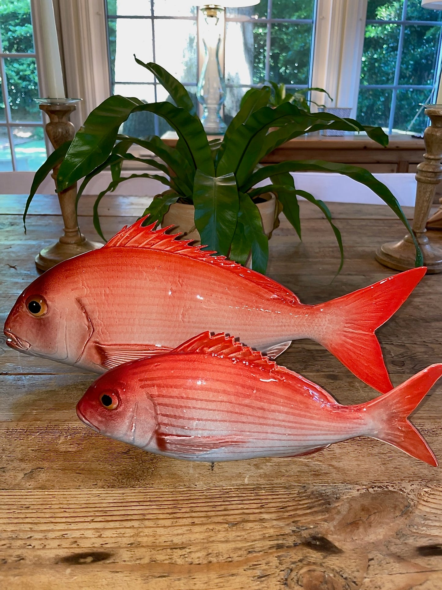 Pagro Grande  -  Large Red Snapper