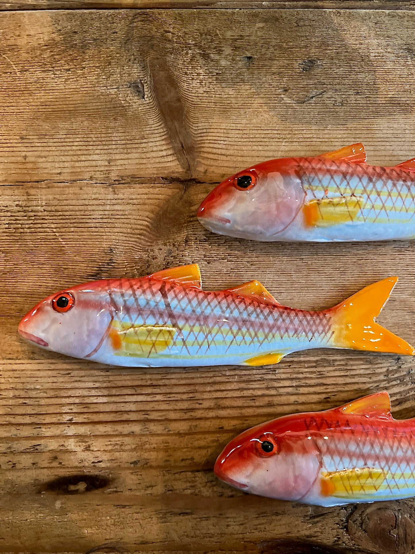 Triglia - Striped Red Mullet