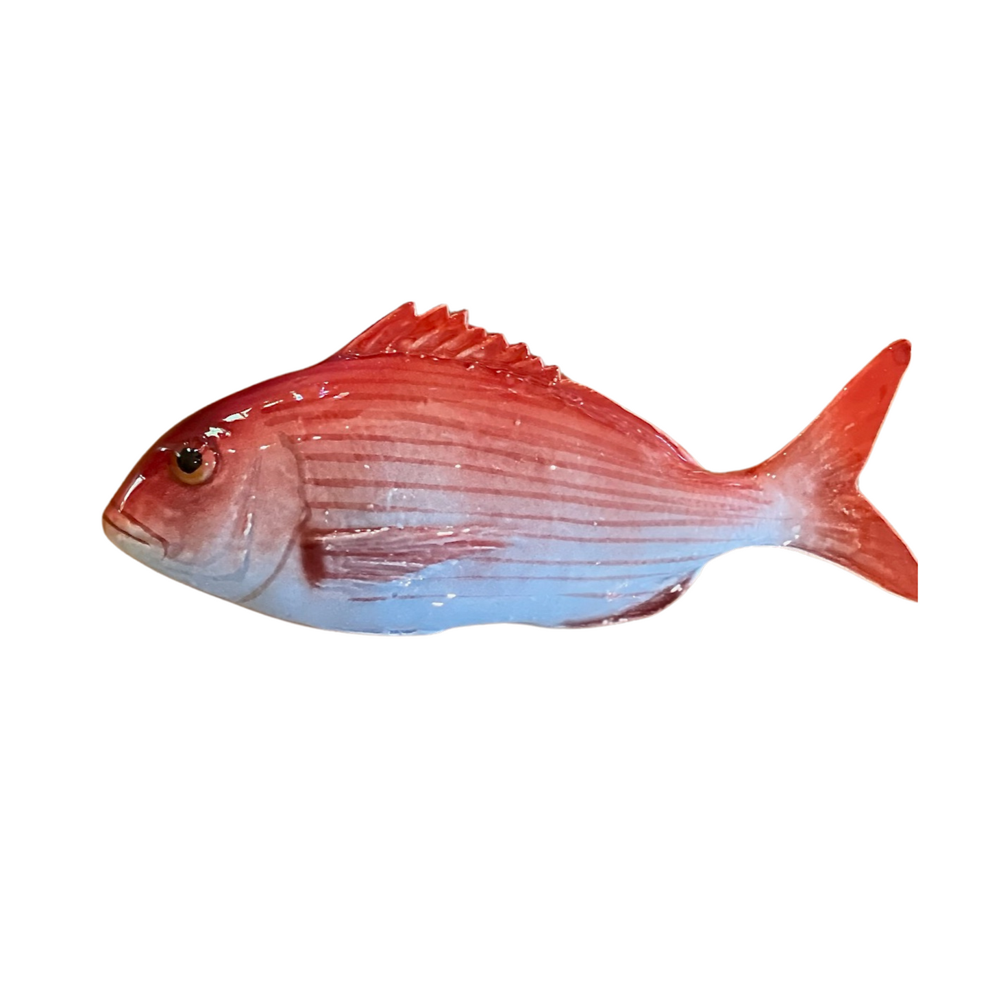 Pagro Piccolo - Red Snapper