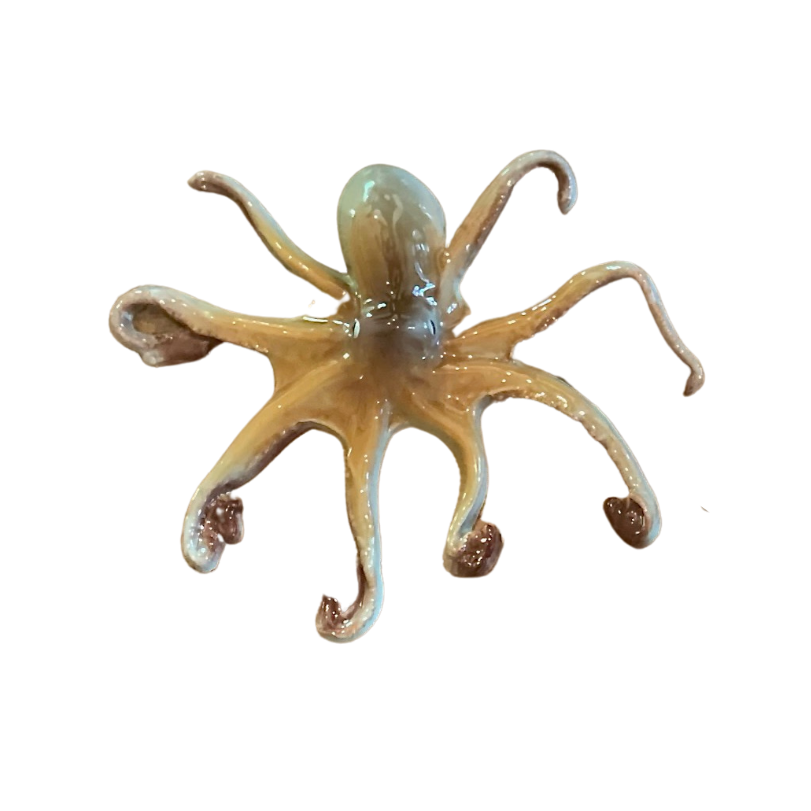 Polpo Medio - Medium Octopus – In Giro