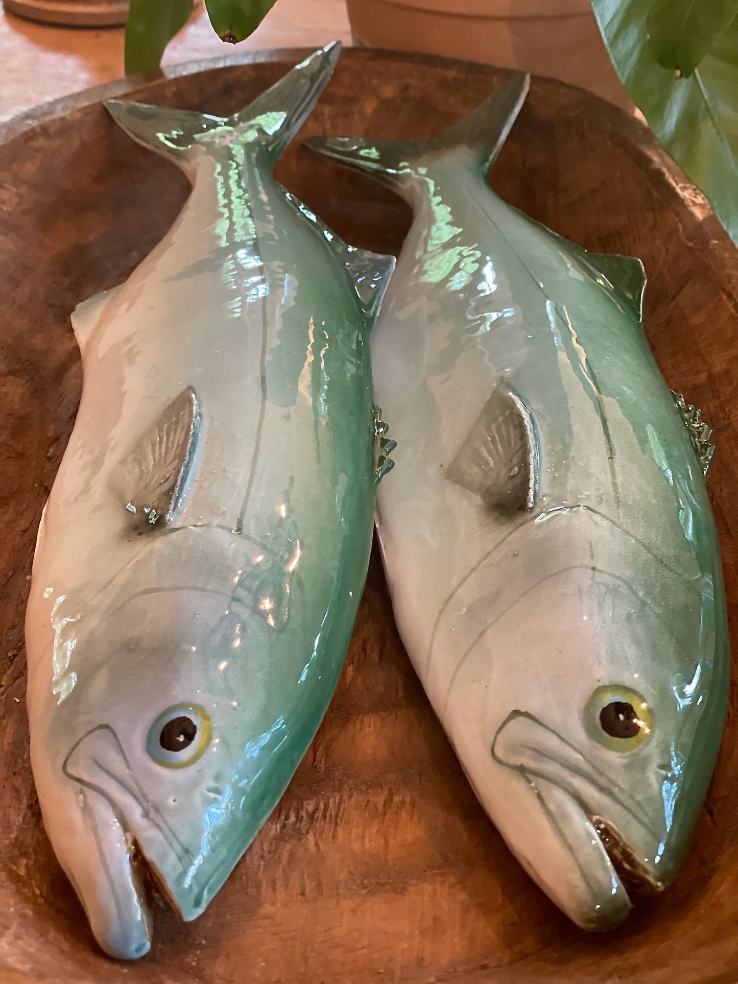 Serra - Bluefish