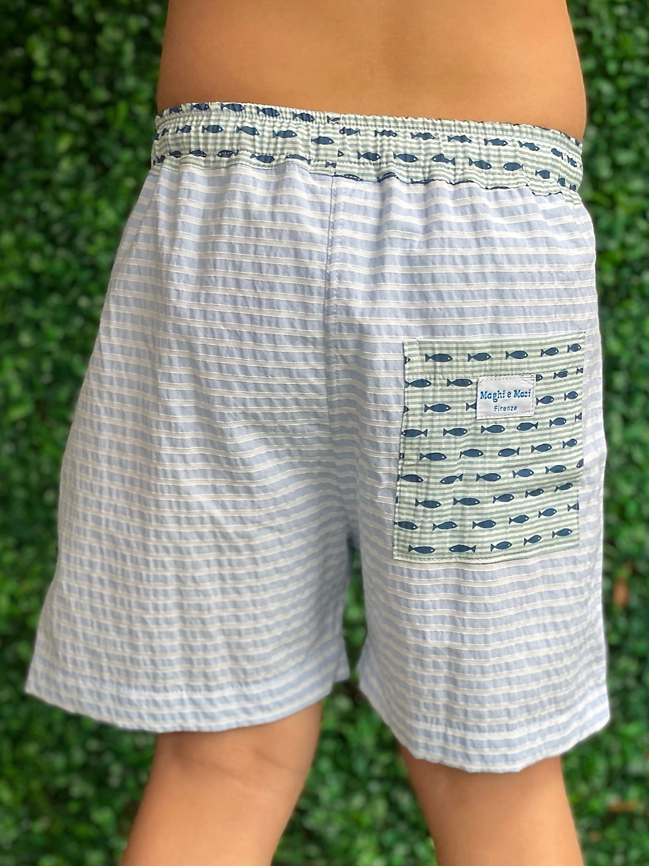 Swim Trunk - Blue Fish