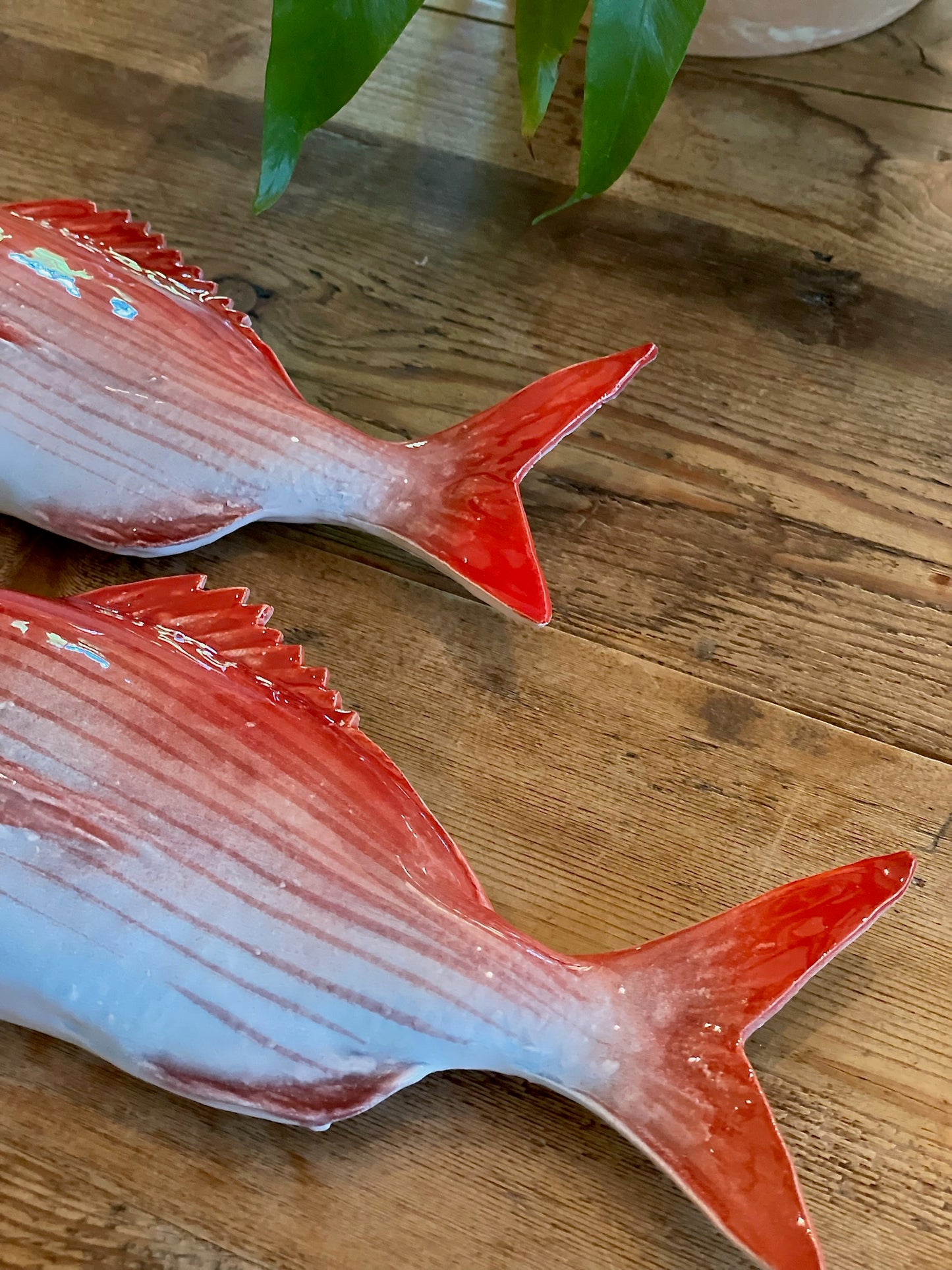 Pagro Piccolo - Red Snapper