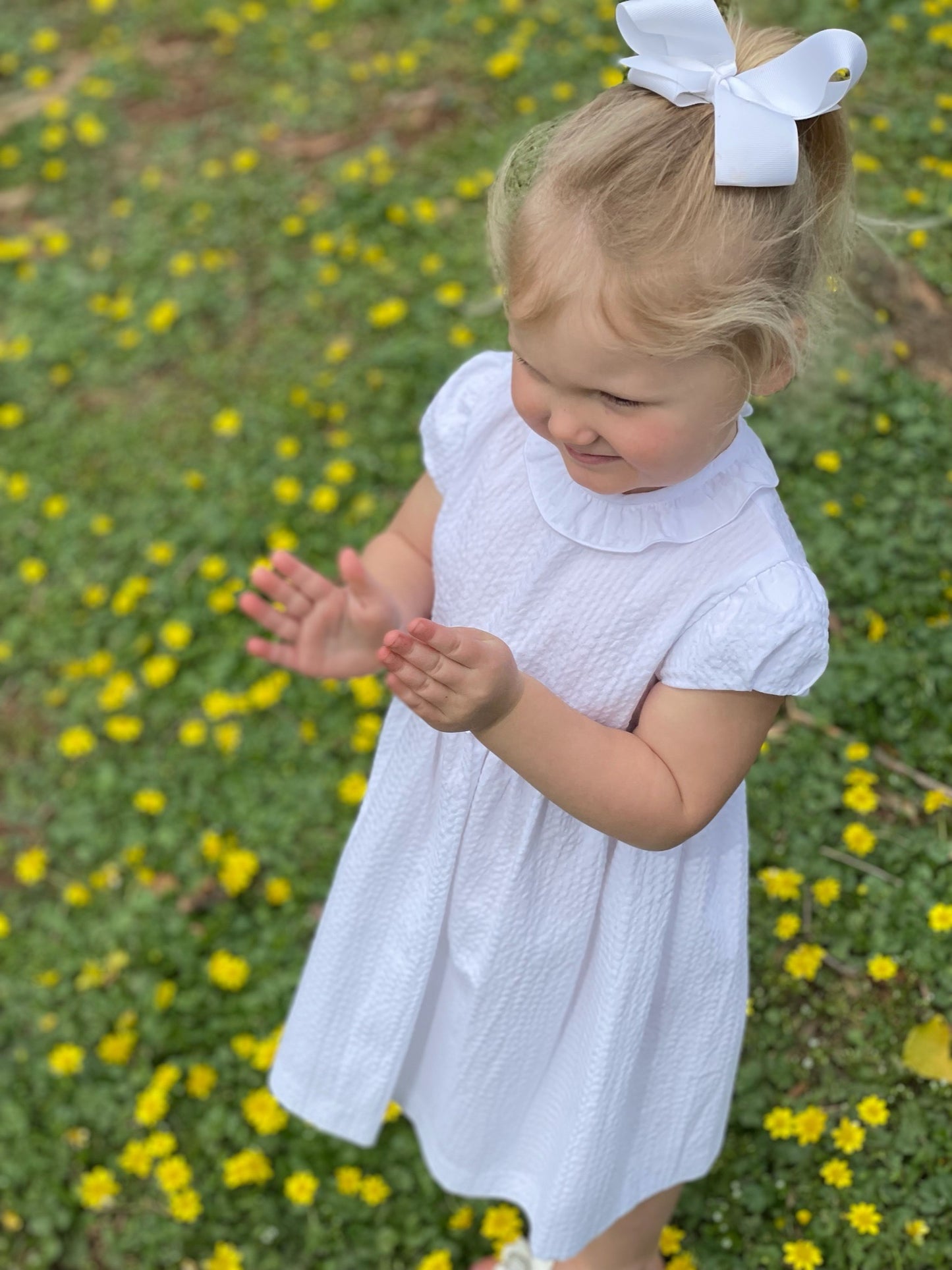 Bambola Dress - White Seersucker
