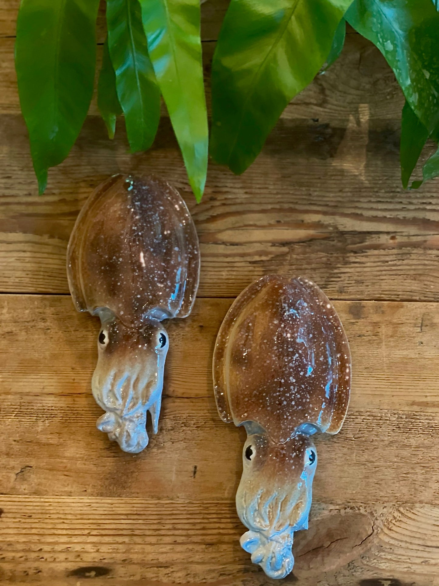 Seppia - Cuttlefish