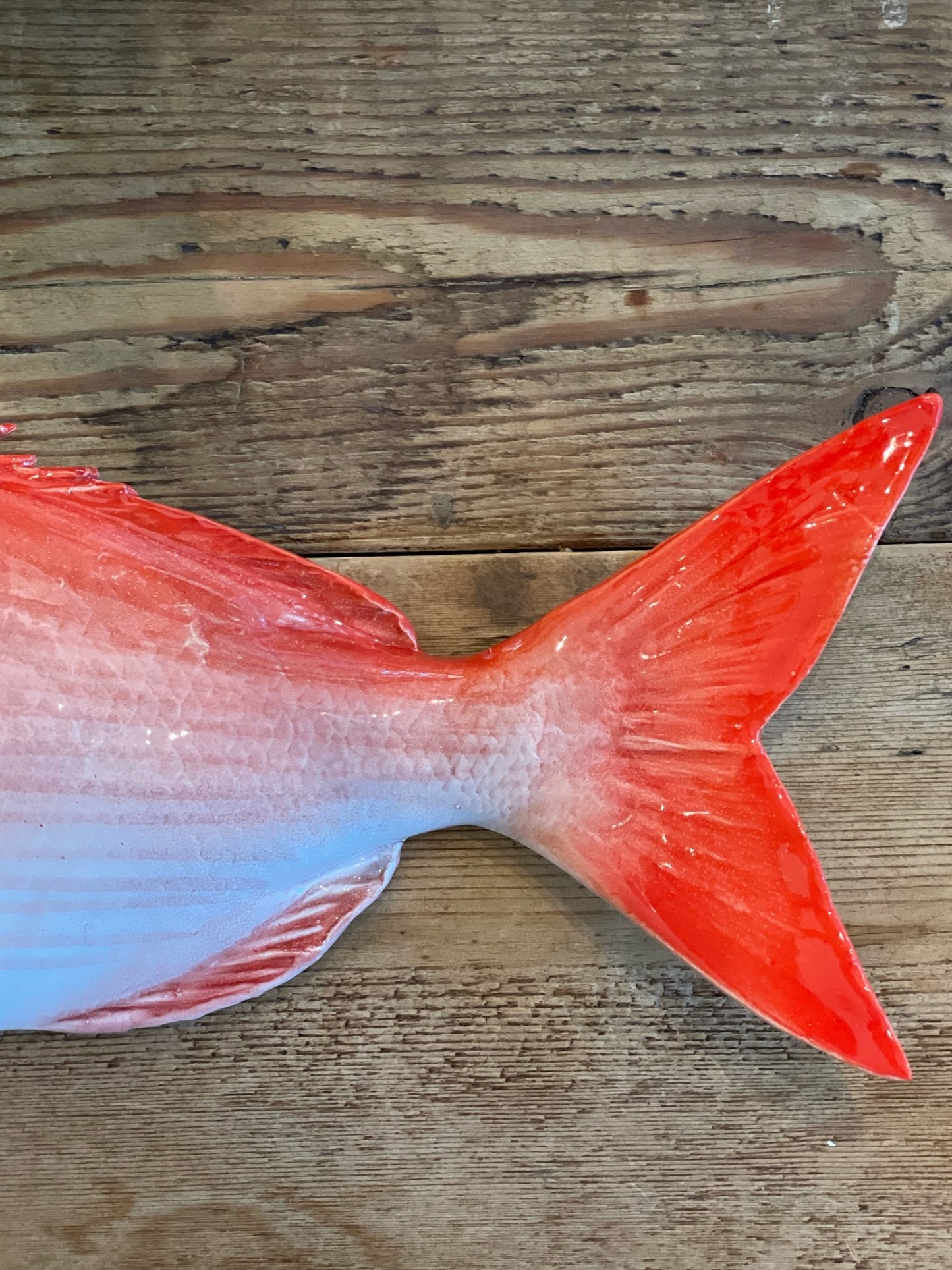 Pagro Grande  -  Large Red Snapper