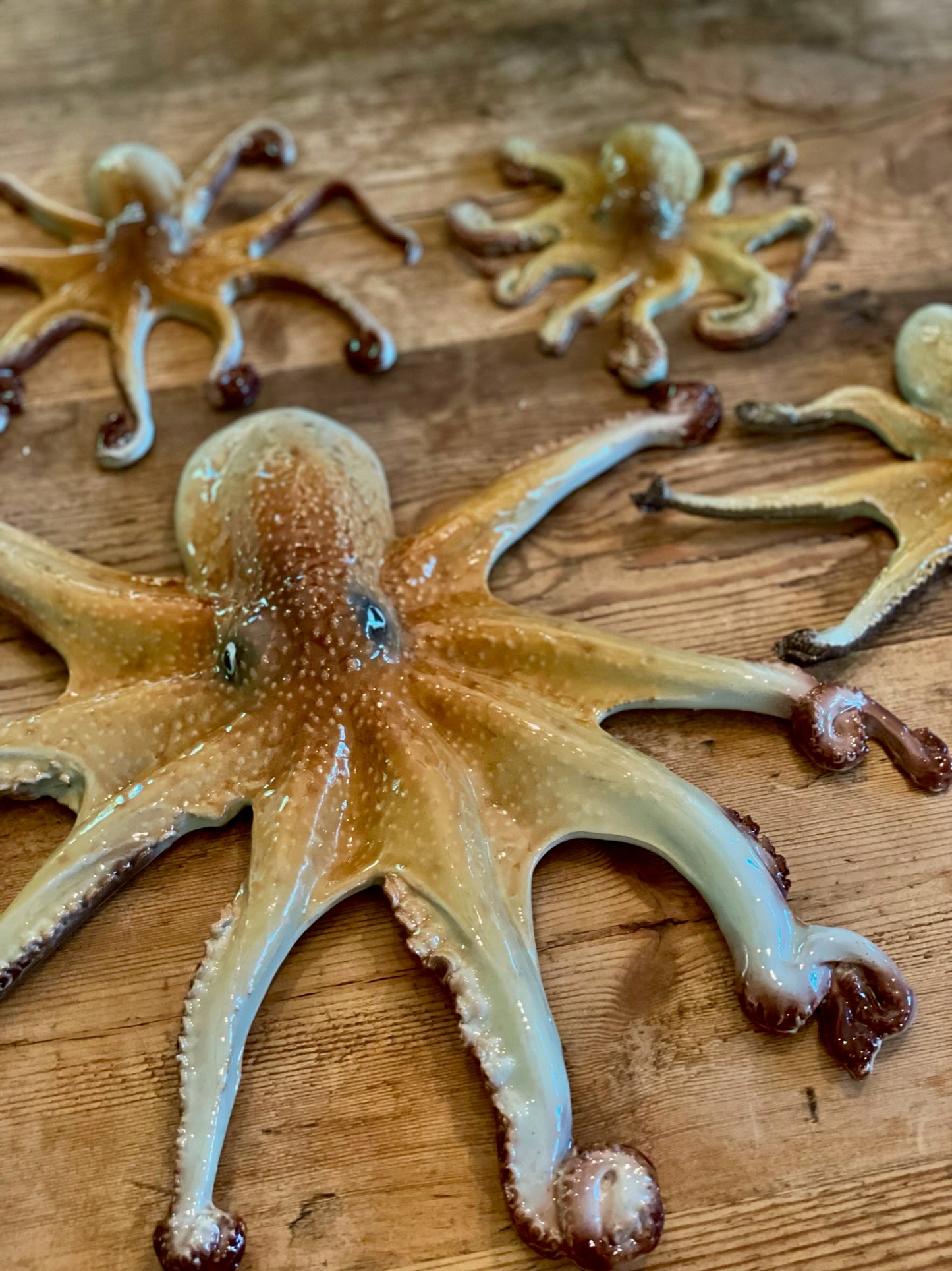 Polpo Piccolo - Octopus (A)