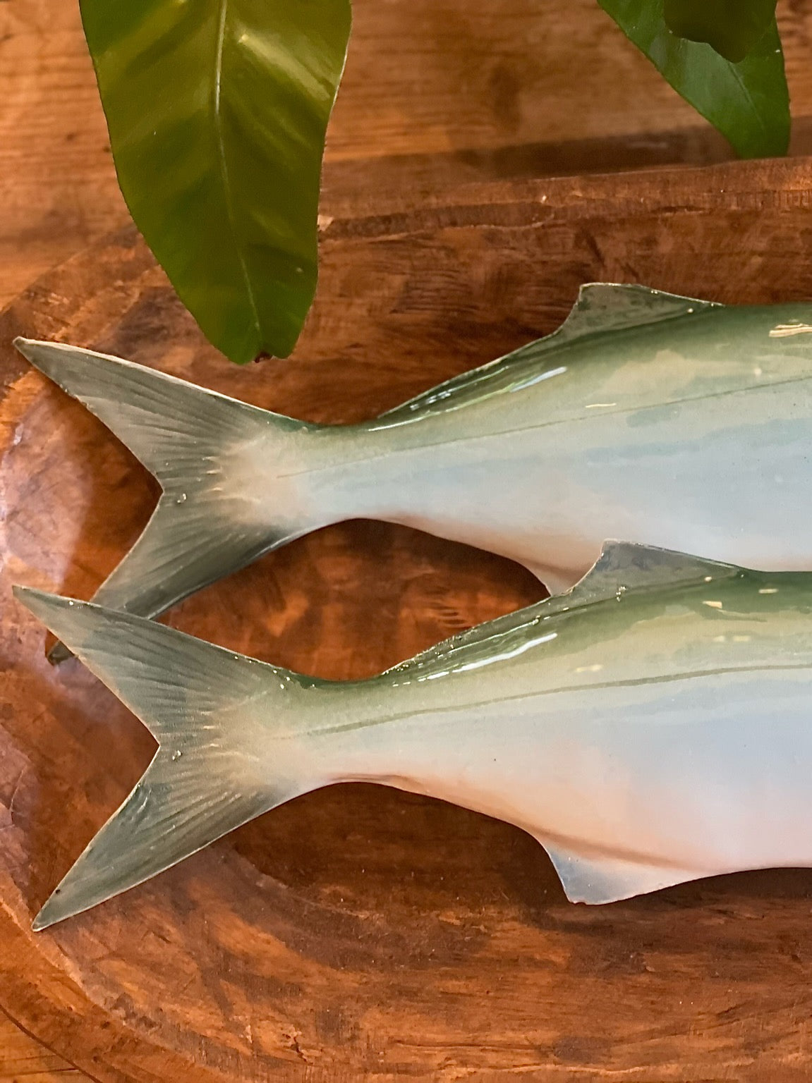 Serra - Bluefish