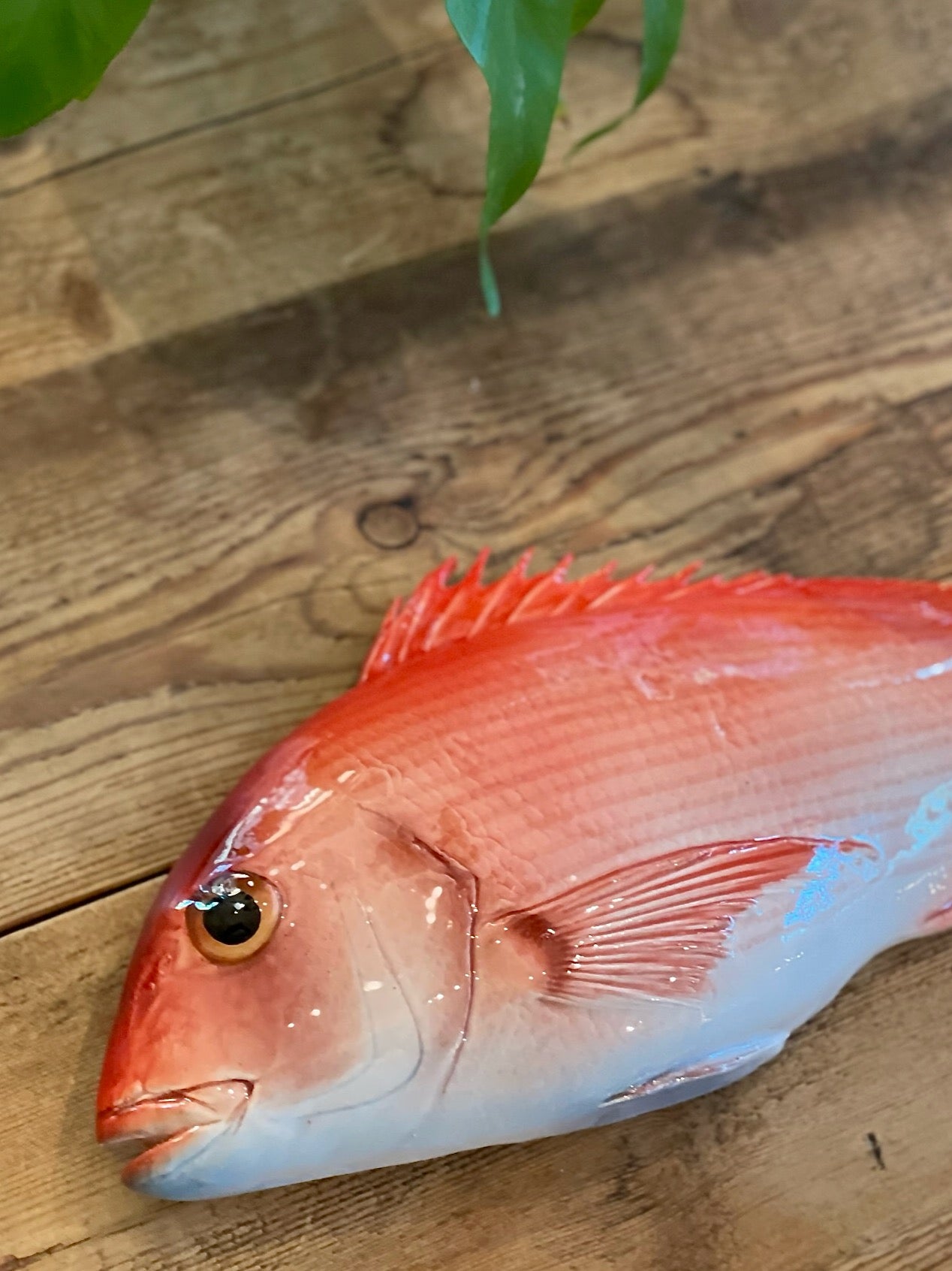 Pagro Grande  -  Large Red Snapper