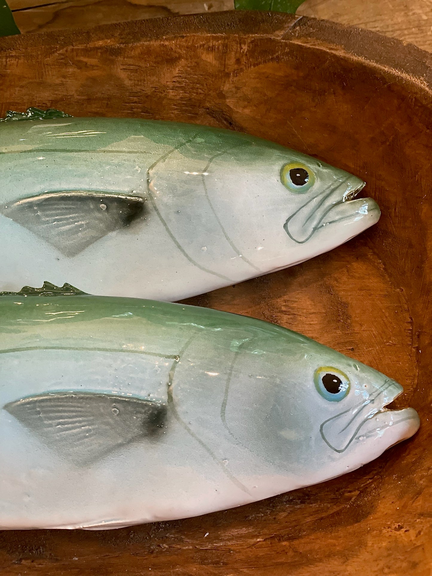 Serra - Bluefish