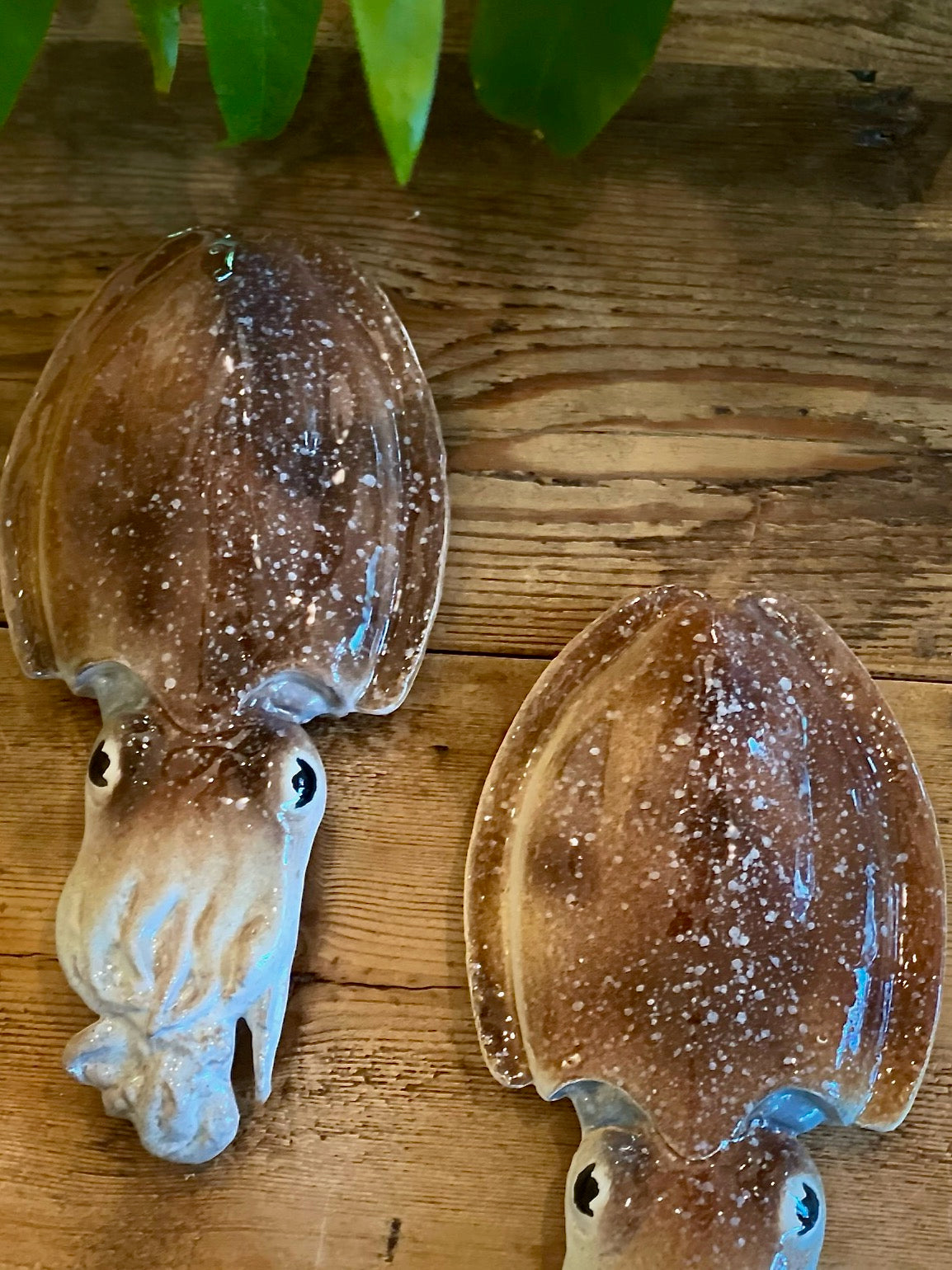 Seppia - Cuttlefish