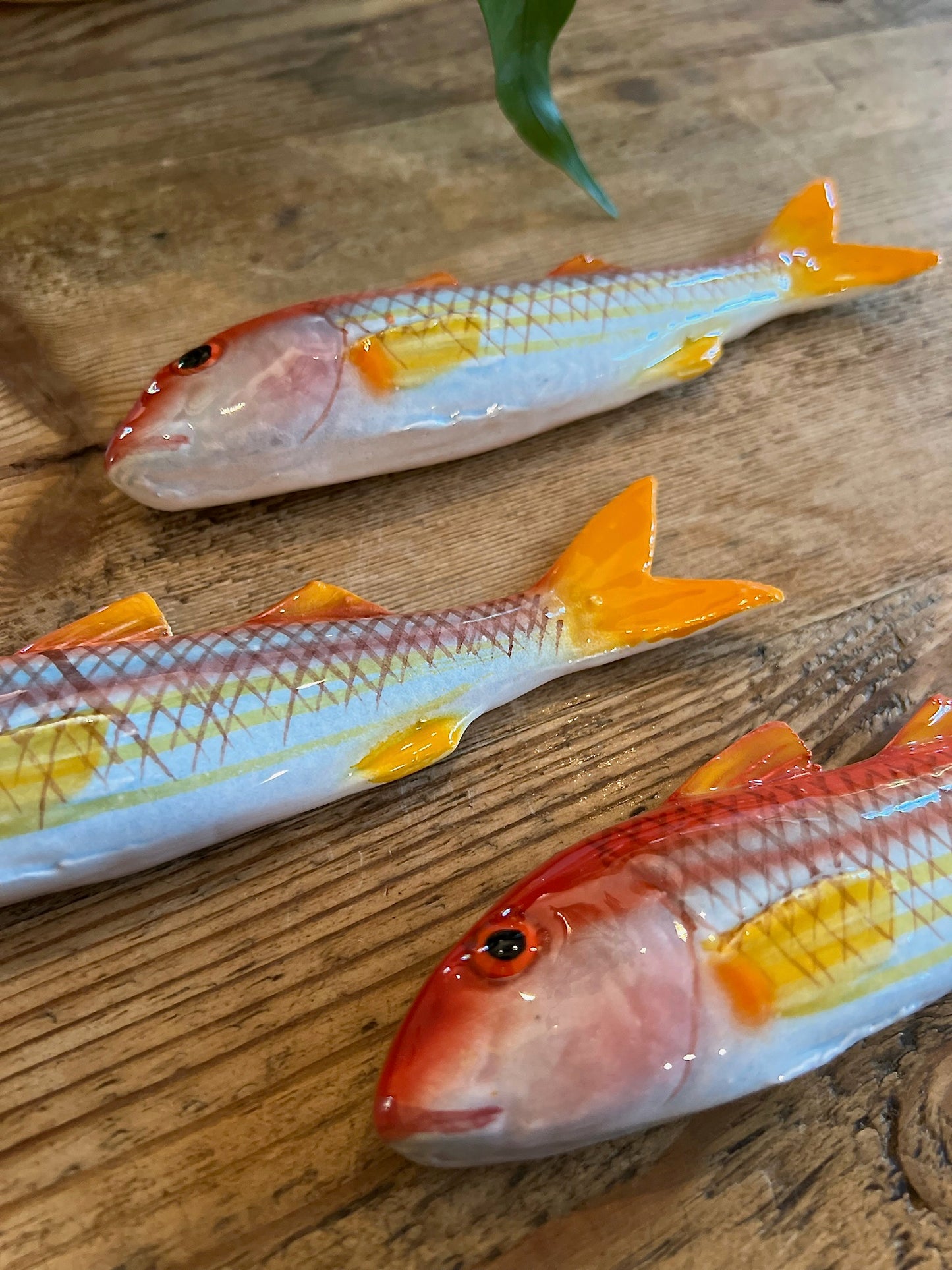 Triglia - Striped Red Mullet