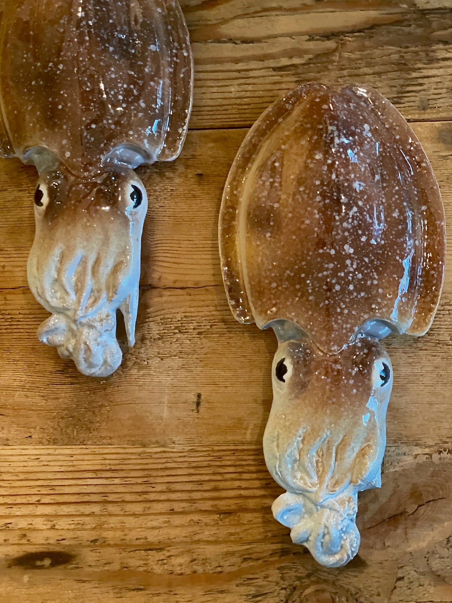 Seppia - Cuttlefish