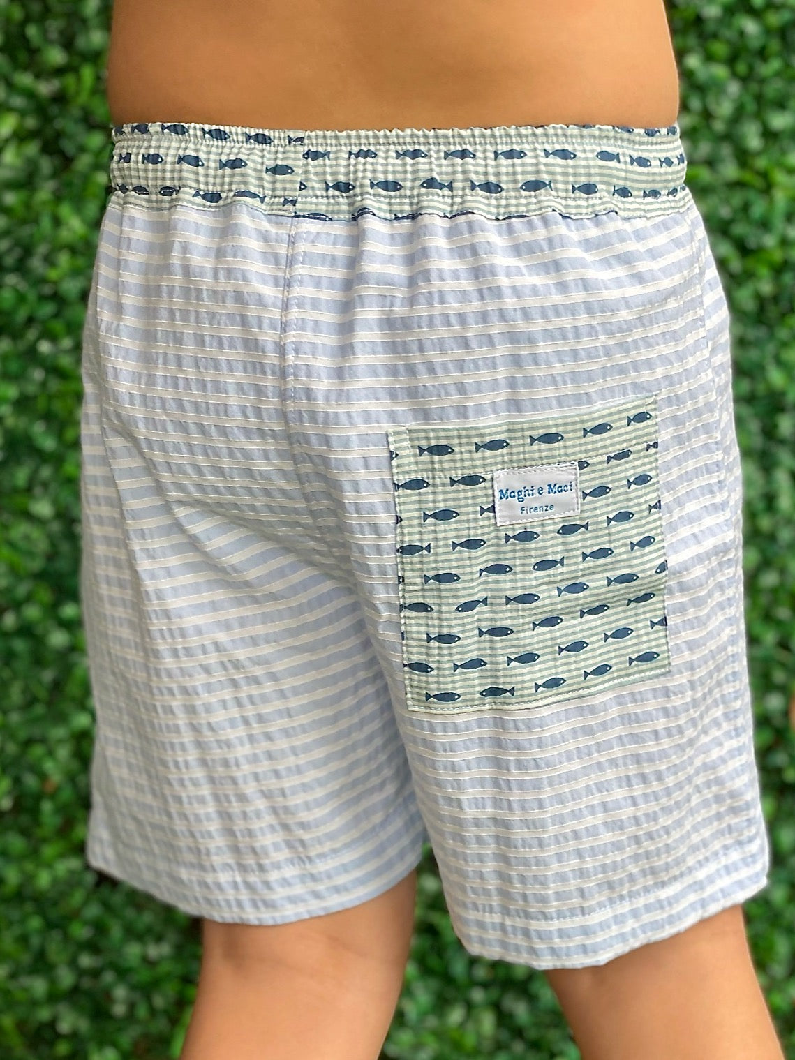 Swim Trunk - Blue Fish