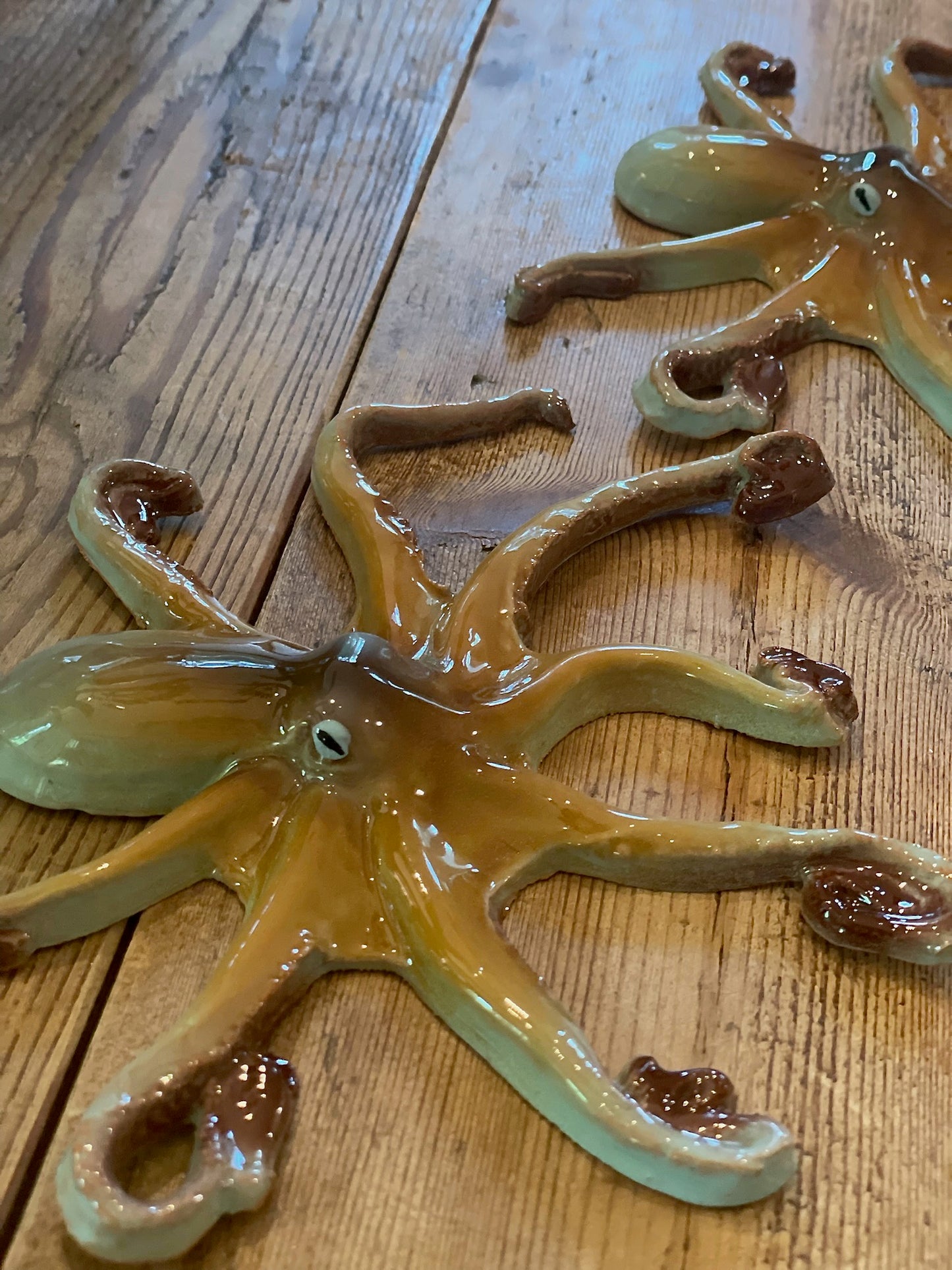 Polpo Medio - Medium Octopus